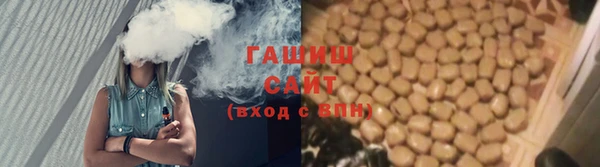 дмт Богданович